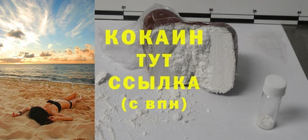 индика Балабаново