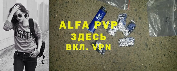 индика Балабаново