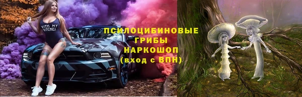 дмт Балахна