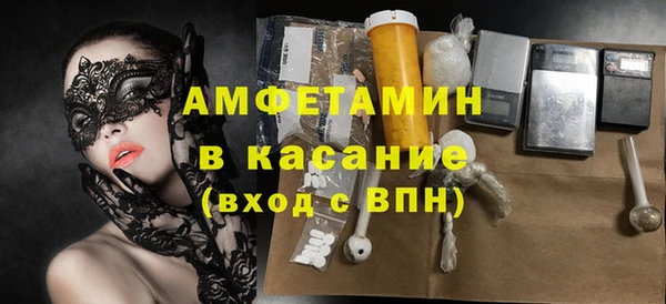 индика Балабаново