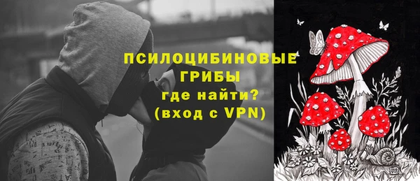 дмт Балахна