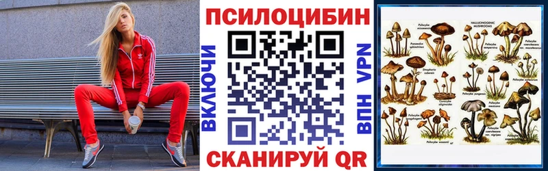 Псилоцибиновые грибы мицелий Бежецк